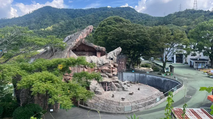 能讓動物有空間，真的滿重要。