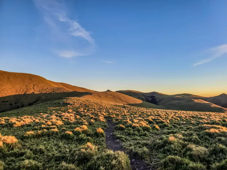 往嘉明湖的路徑上，大片的金黃色山坡，是不是夢幻極了～