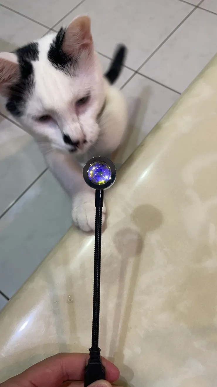 小小一隻，但是都是金屬製，質感很好