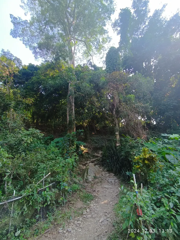 後山入口處，二十年不來了！來這只為圓夢