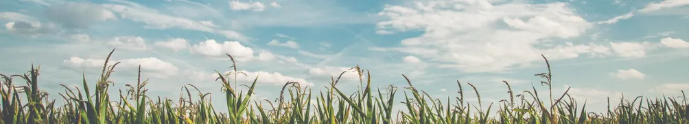 JIANG MAYER的沙龍