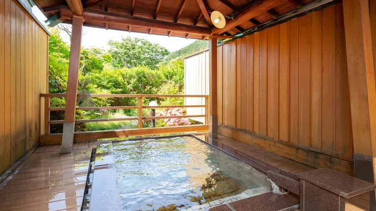 庭園式露天大眾湯(圖取自紅葉館官網)