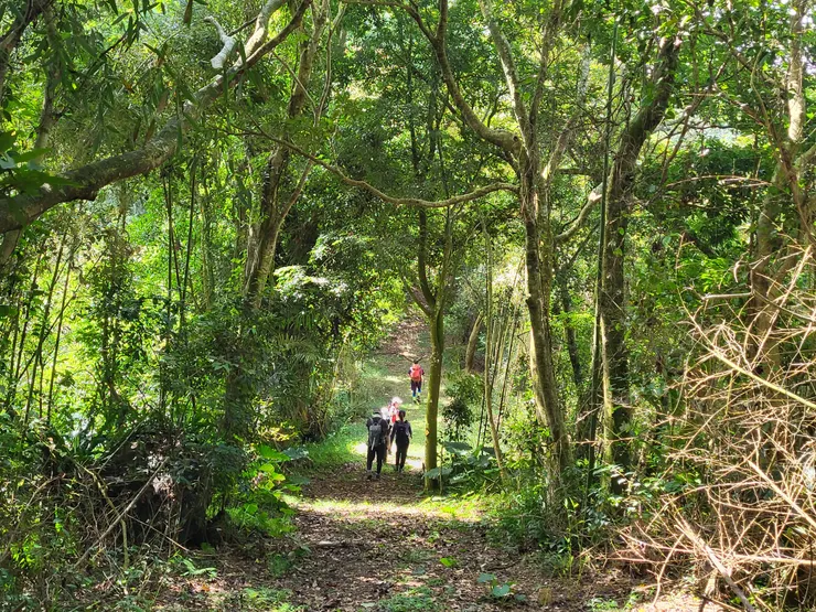 此時心裡OS:這麼棒的五星級步怎麼會乏人問津?