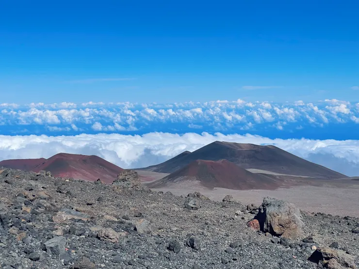 到山頂沿路風景
