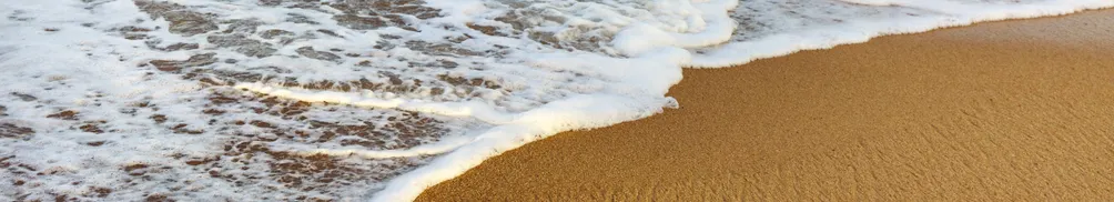 LynnLynnTalking的沙龍