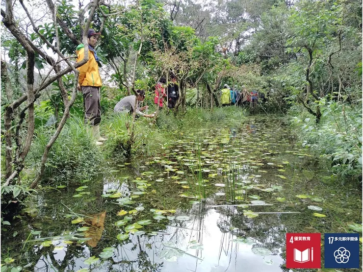 挺水、沉水、浮葉、漂浮型的水生植物共處一池