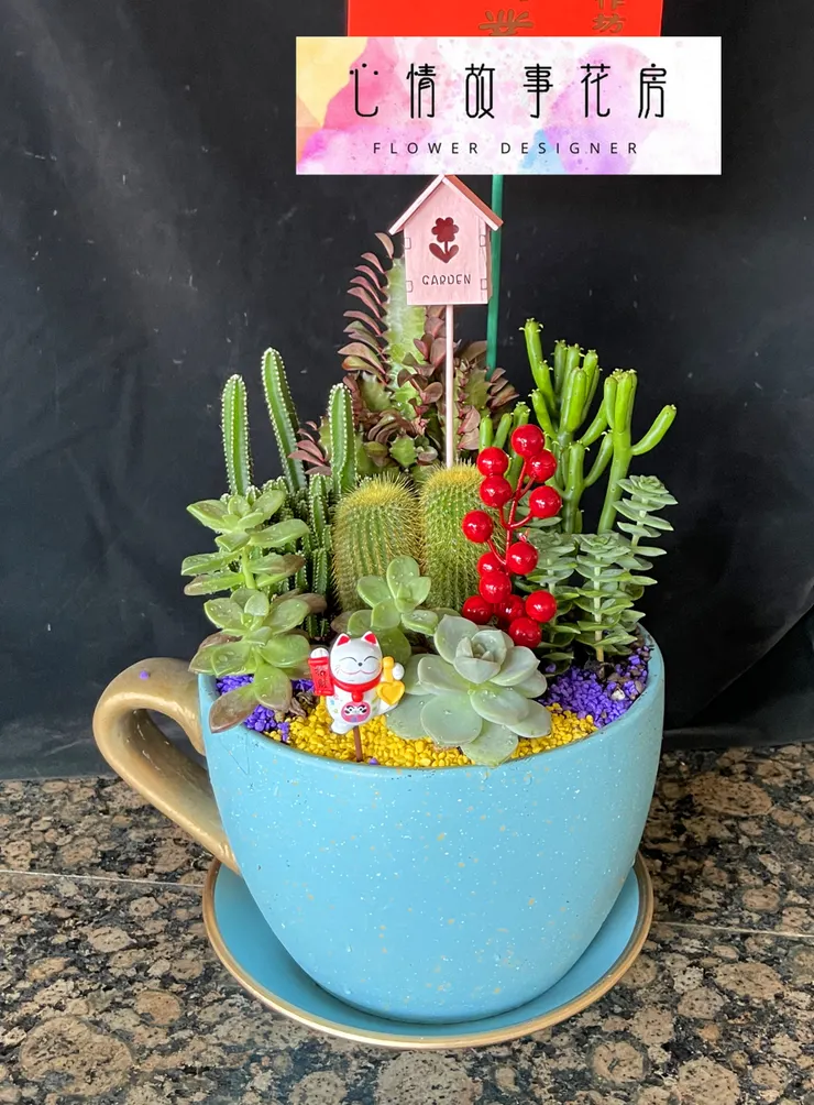 台南安南區花店【心情故事花房】：結合強健植栽的多樣化組合盆栽，為室內環境增添活力、美感與長久持續的健康生長