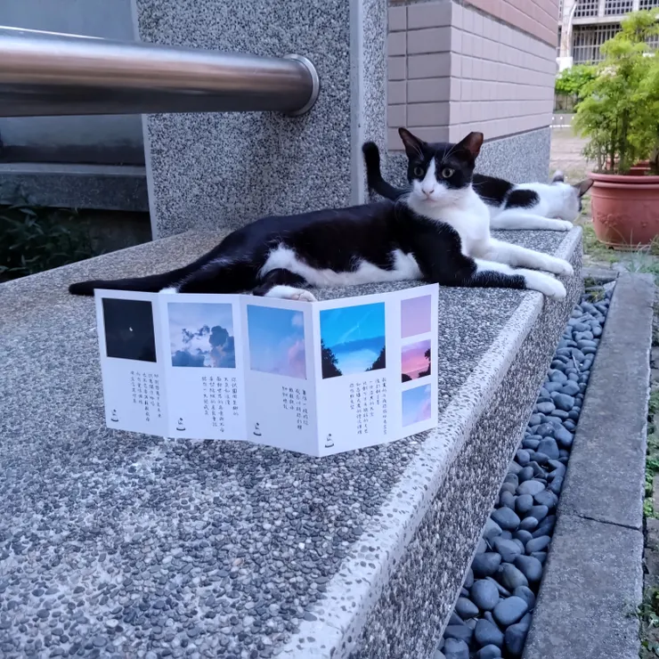 為了拍照，早上午點就起床了XD