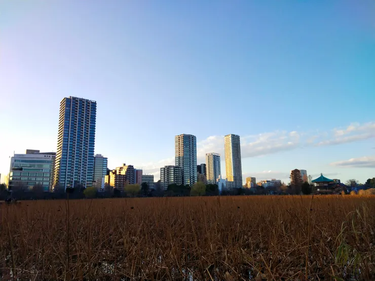 收穫滿滿的一趟日本LongStay