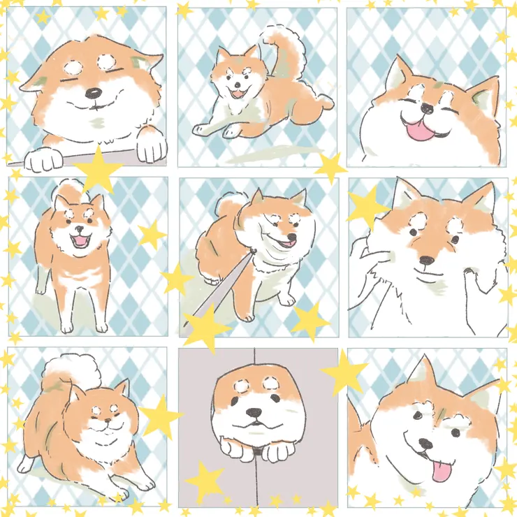 看網路照片畫的