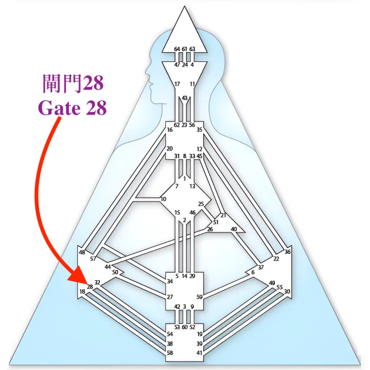 閘門28（圖源：互聯網+DIY）