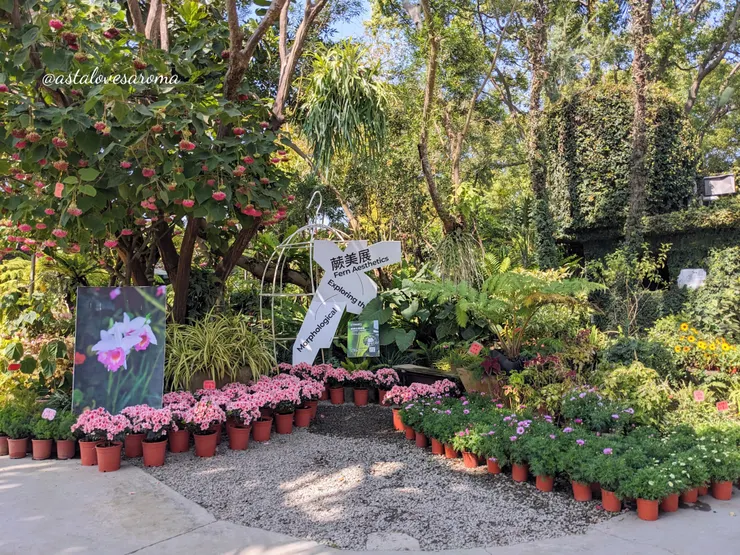 往左前往草花區,往右前往整型區