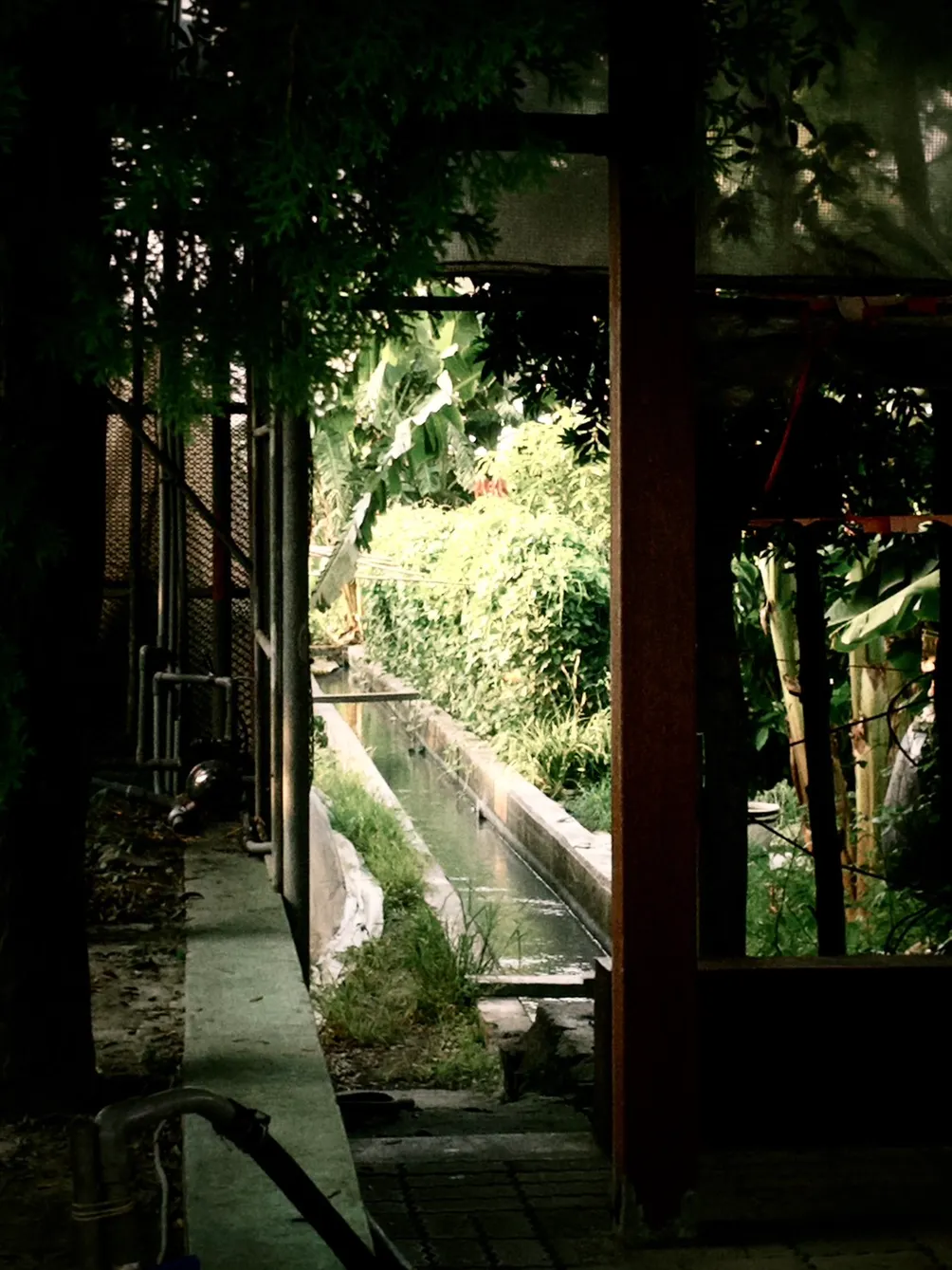 everything backstage