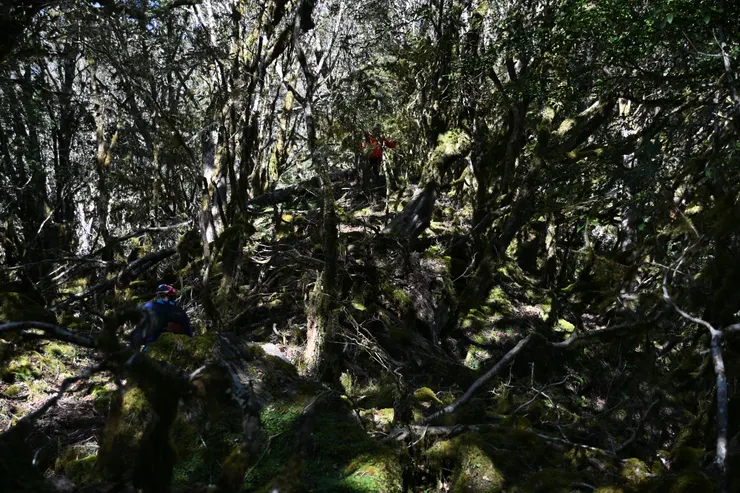 沿路獸徑亦不明顯，僅得自己尋路