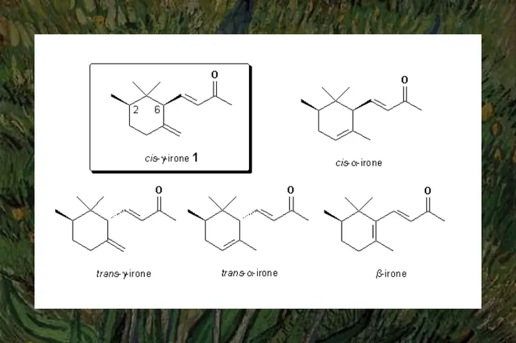 Molecule of the Month: cis-g-irone