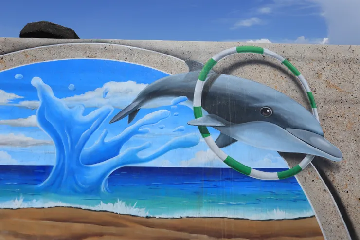 從海裡跳上沙灘的海豚