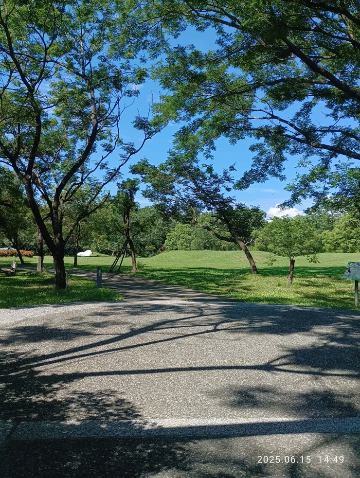 雲淡風輕雨愁去