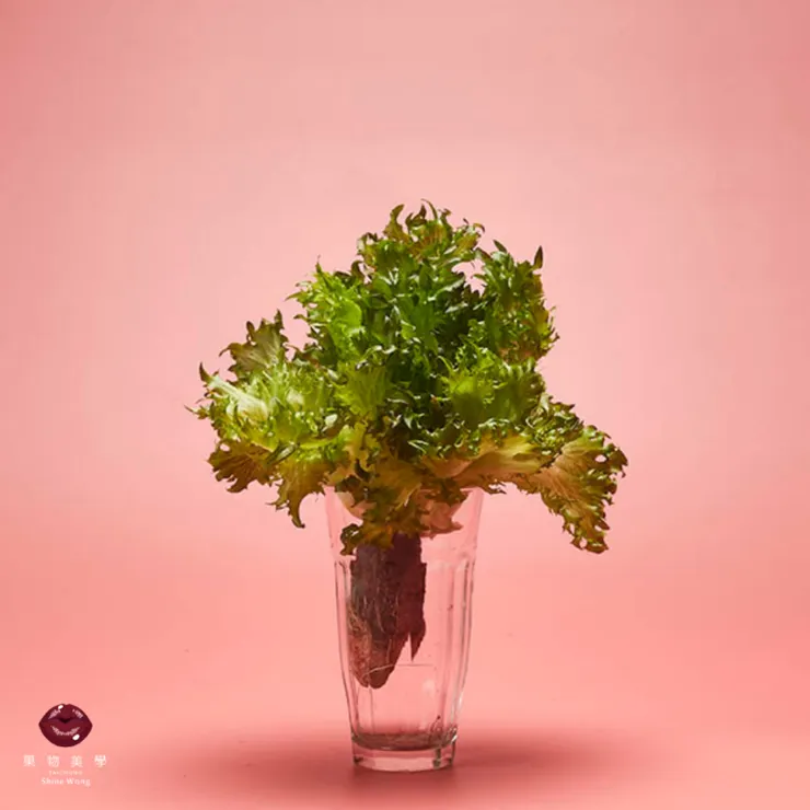 圖片來源:果物美學