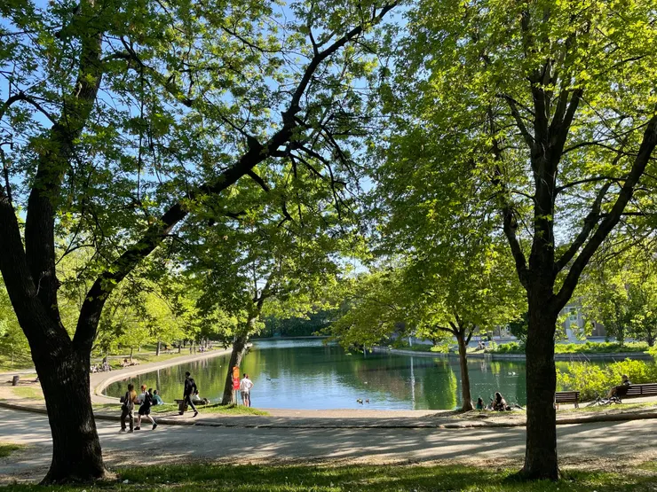 夏天的Parc Fontaine