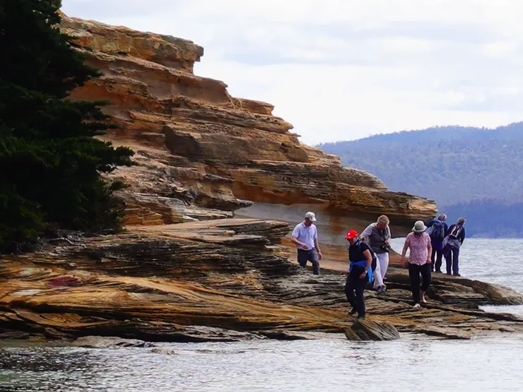 看見勇腳ㄚ罵了