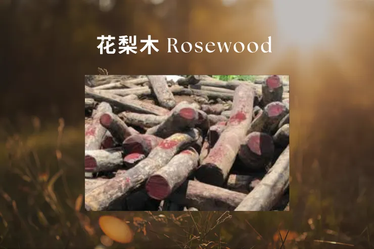 花梨木 Rosewood —— 明亮溫潤木香