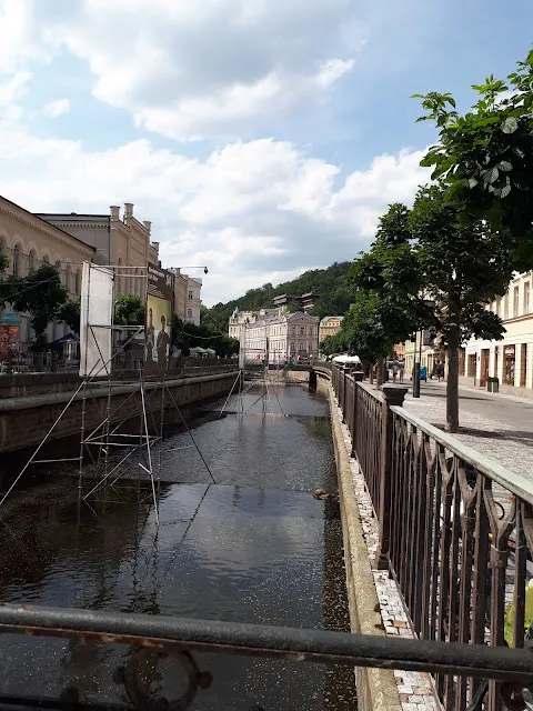 2019年適逢電影節開幕