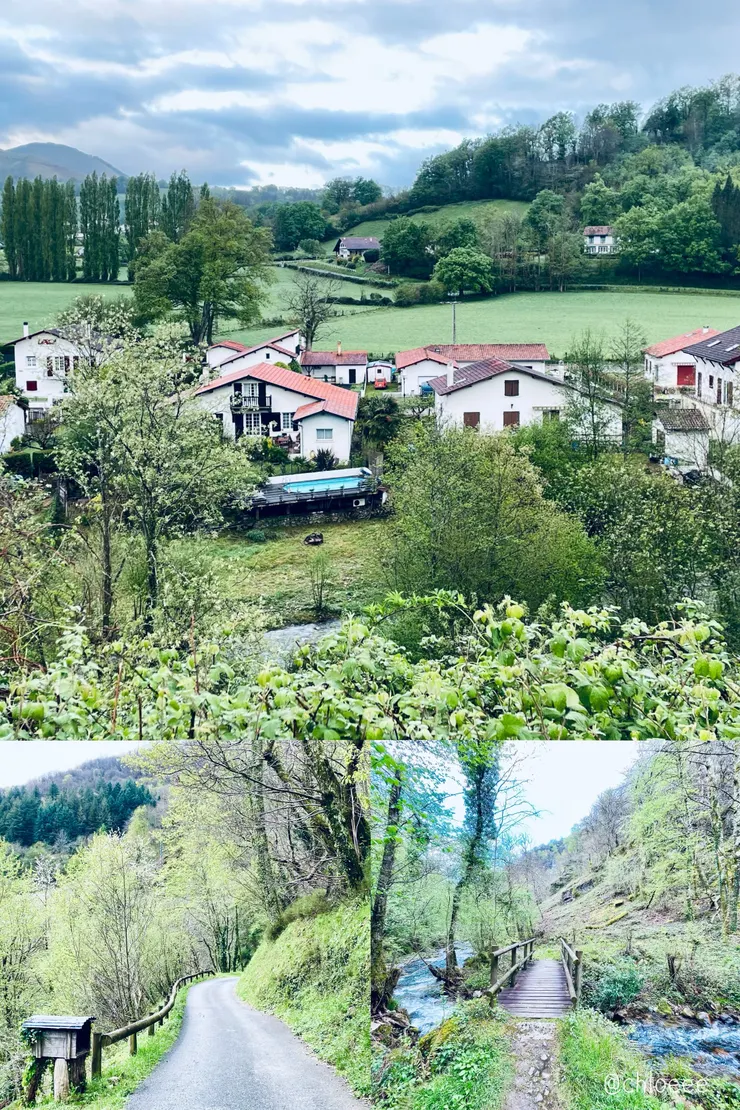 庇里牛斯山景色真的很美，春天去一片綠油油的