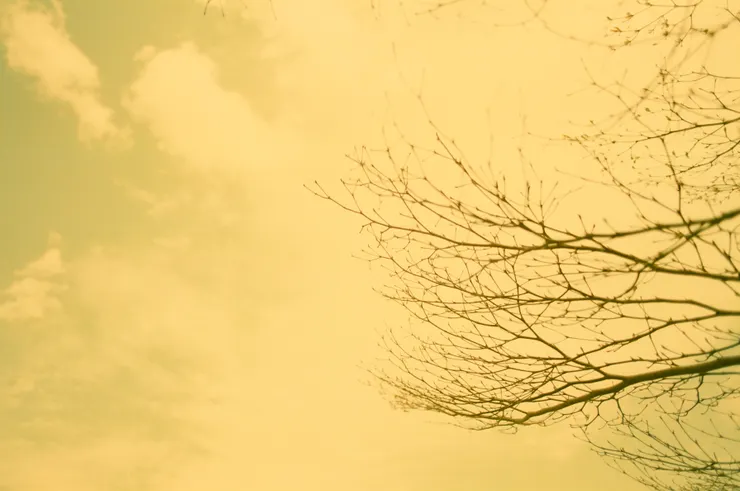 Shot by Emma@ 2010。02。池上。FM2+konica super centuria 100  過期