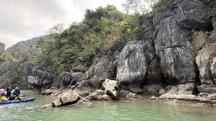 偶而還能看到猴子在岩石上