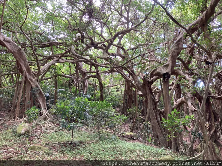 [ 美食景點 ] 2024恆春五大私房景點｜海景、山景、咖啡