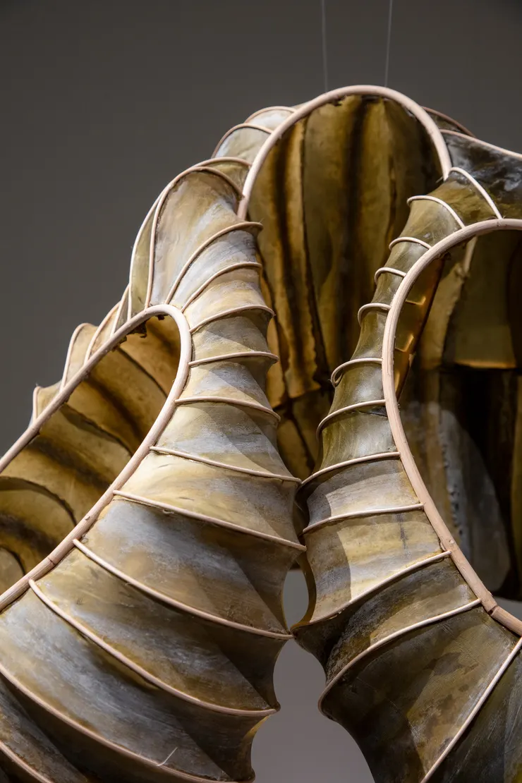 Kelp Council by Julia Lohmann (2025)  photo: Luke Hayes