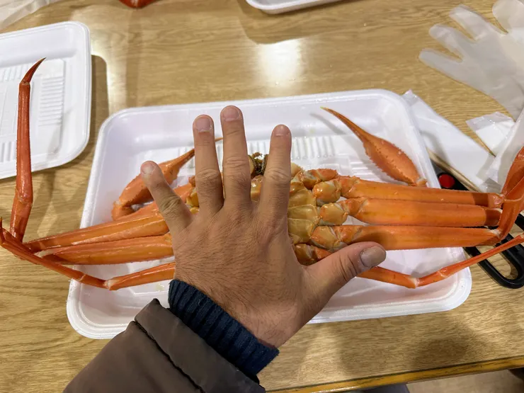 螃蟹的大小遠拍手長大，近量身體寬