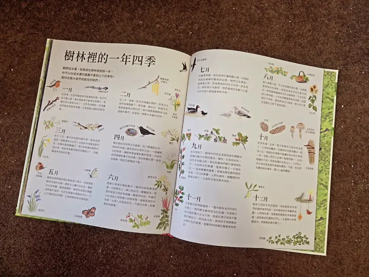 《老鼠的林間四季》