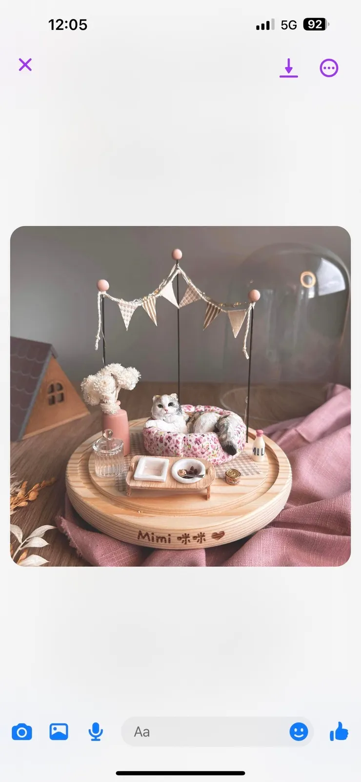 仿真咪咪 是姊姊原本想做的仿真骨灰罐，維妙維肖 後來因未婚夫反對 變成裝飾上的玻璃罩(咪咪姐姐提供)