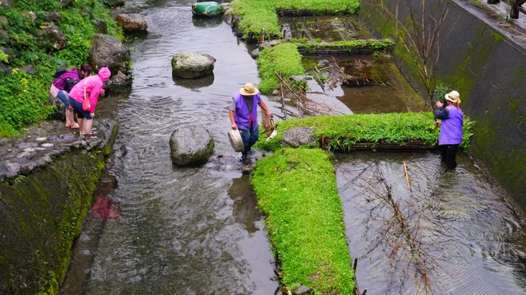 中空的大型竹筒