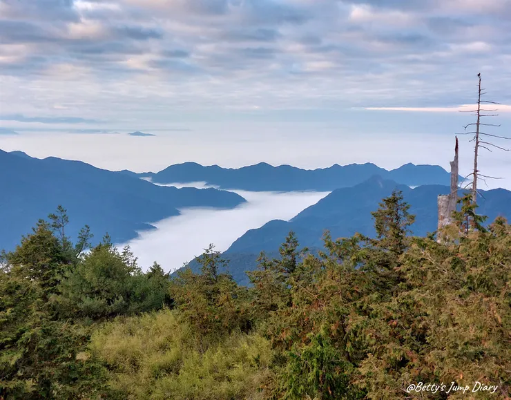 ▲台中「大雪山國家森林遊樂區」/圖片來源：Betty's Jump Diary