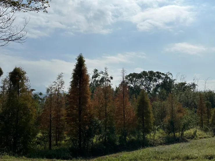 沿途風光，好美