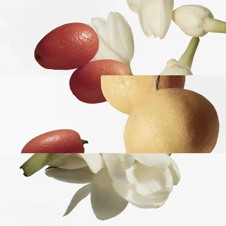 李先生花園的香材圖，很開心如我想的一樣是小花茉莉。 (圖片來源 : 官網)