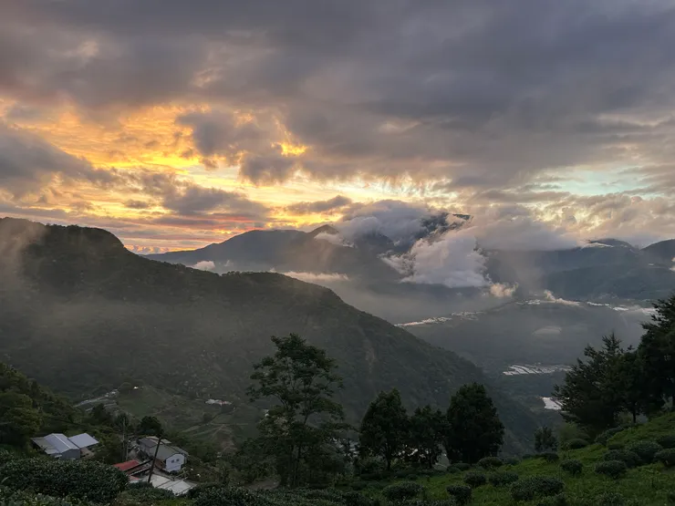 本日最喜歡的一張
