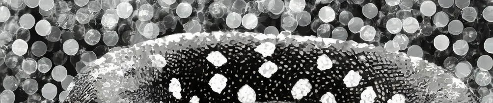 凍雪落蚺鱗，半夢遊天涯