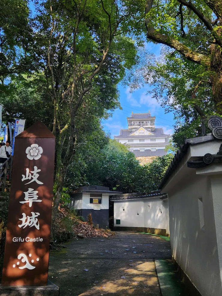 真實圖片 夢幻角度XD