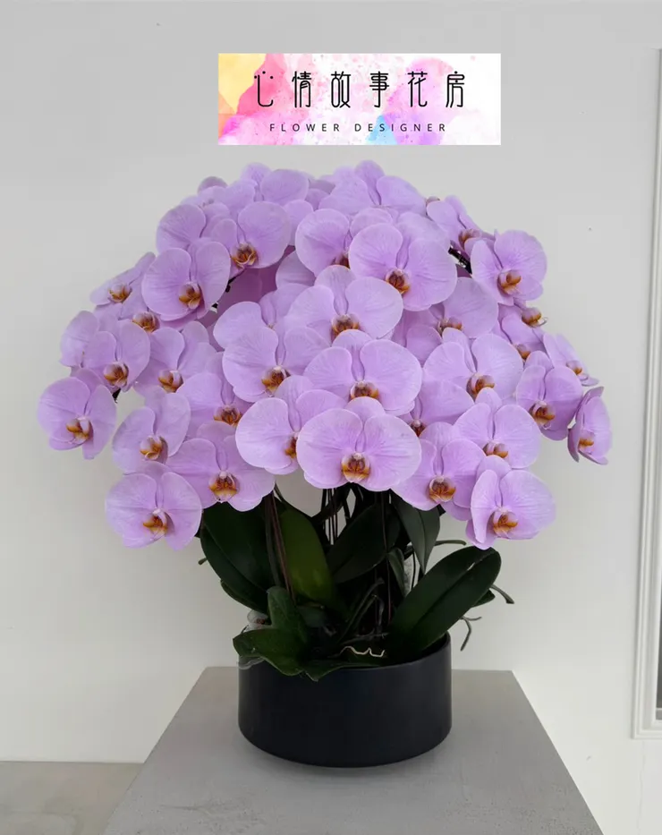 台南心情故事花房｜長花梗高級蘭花正式進軍送禮市場，為高級場所與尊貴人士打造專屬花藝禮品