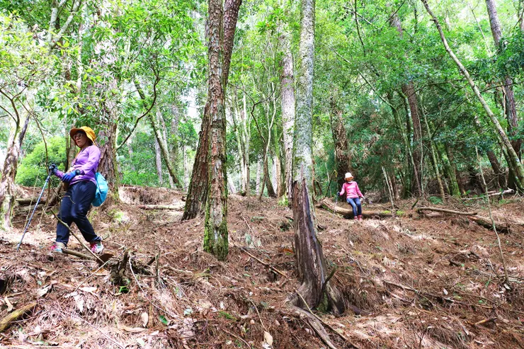 套句ＭＩＴ的口頭禪，真的是很好陡的一段路