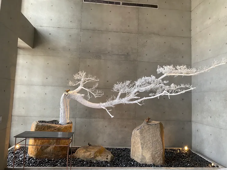 一進大門的場景