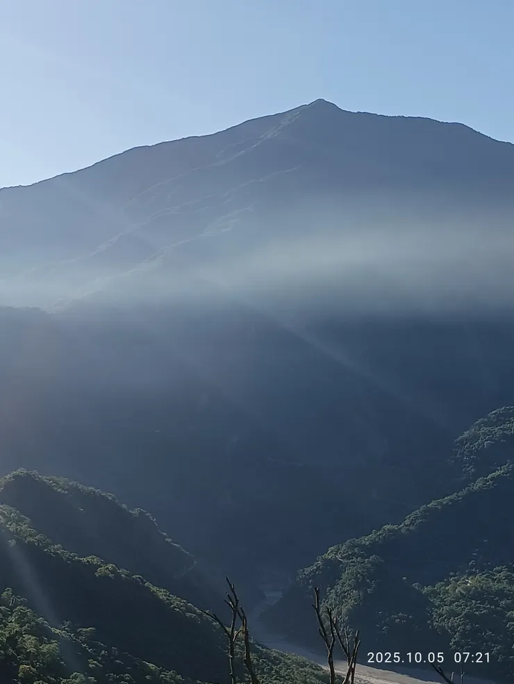 凝佇漸覺風光好