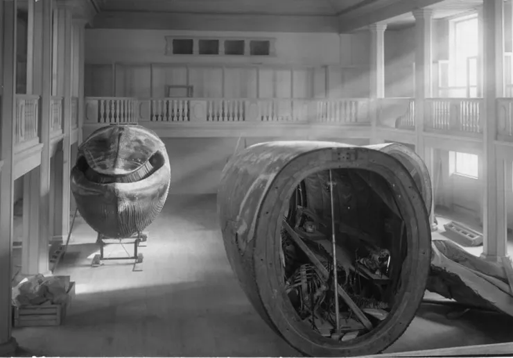 圖片來源：Naturhistoriska Museet at Slottsskogen 