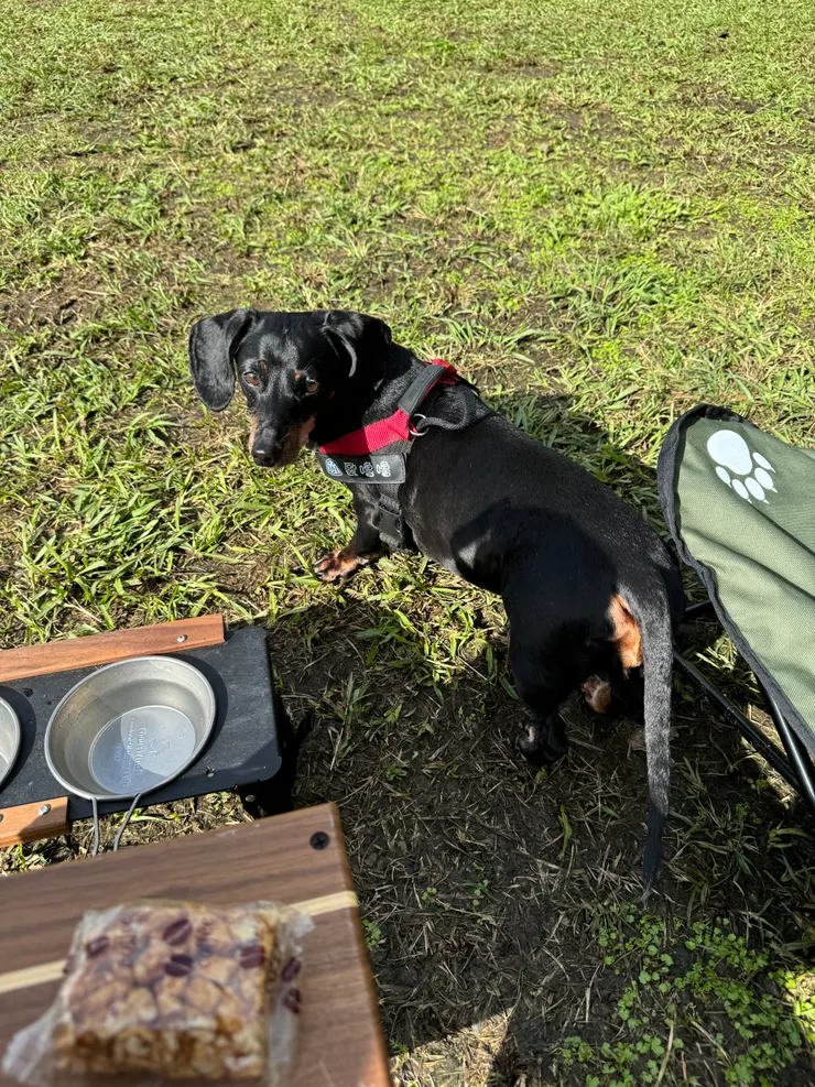 歐嚕嚕(Olulu) 大小姐。