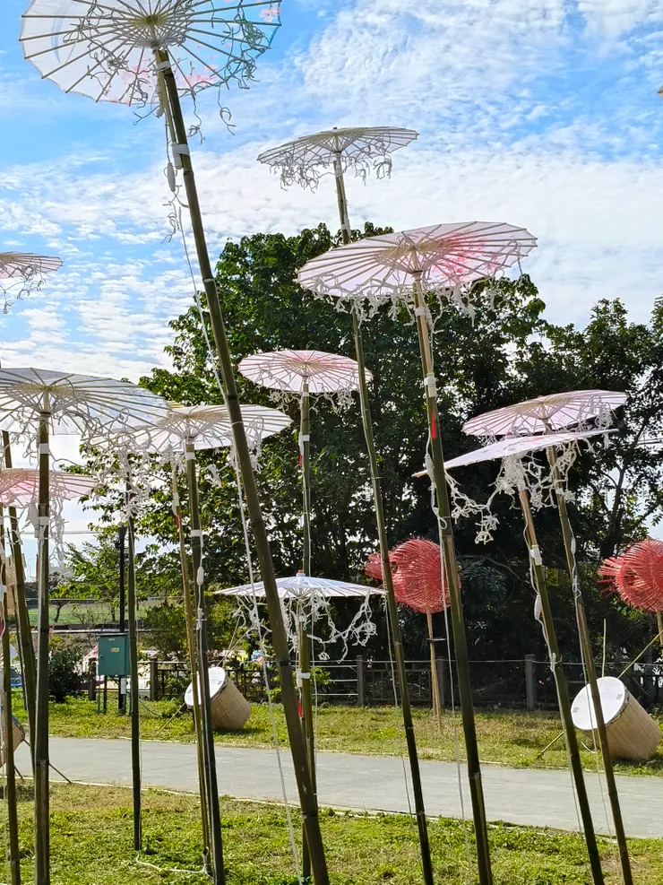 太陽出來…觀賞物見光死…