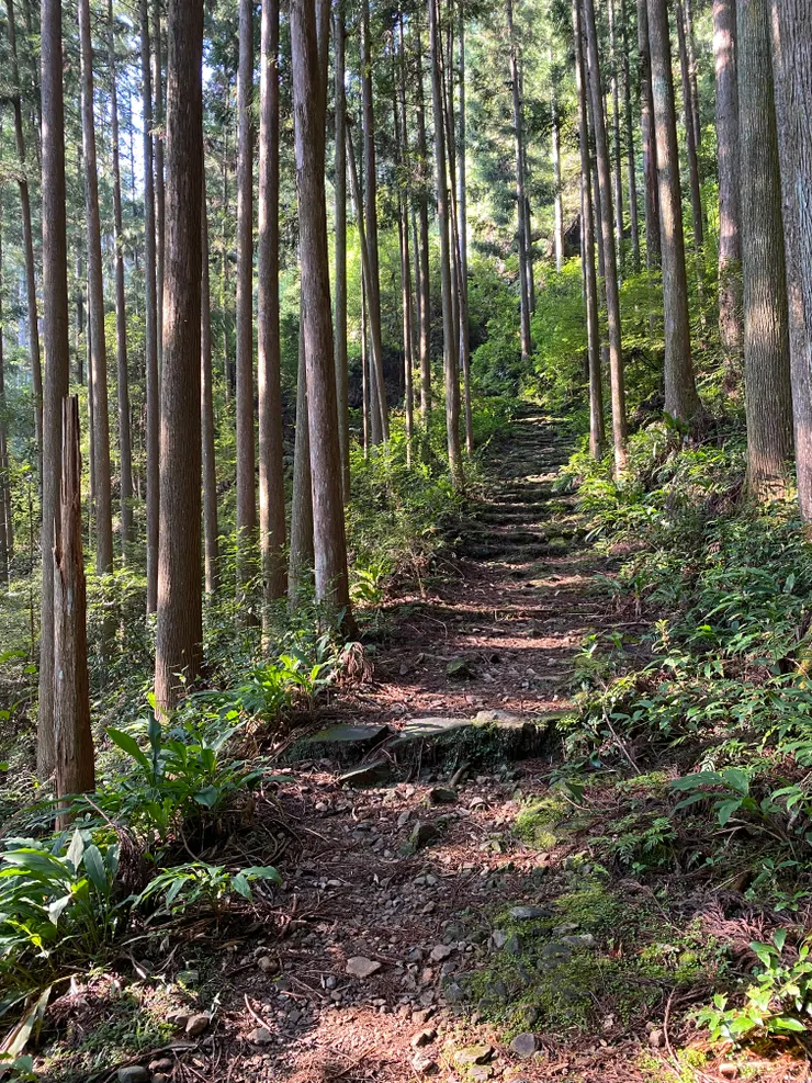 一開始的坡還沒有很陡，但是是持續一直上坡