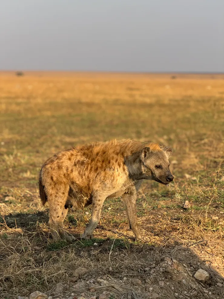 仔細看一看，你有發現什麼嗎???